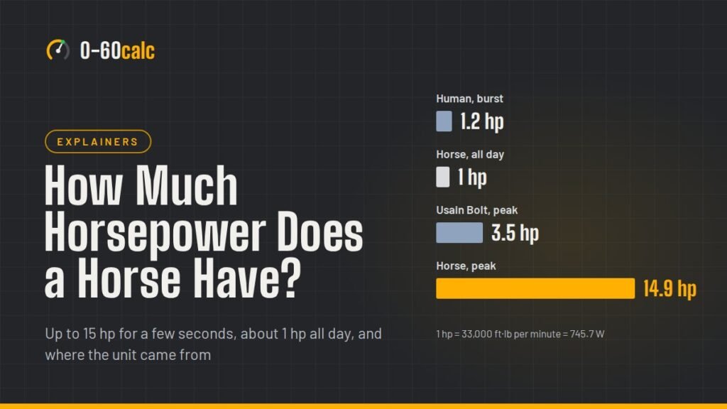 Bars comparing a human's 1.2 hp burst, a horse's 1 hp working pace, Usain Bolt's 3.5 hp and a horse's 14.9 hp peak